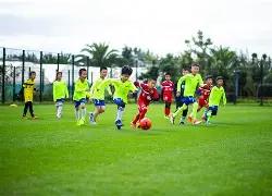 年本土企业,强势崛起,工程项目管,天博体育平台,天博体育官方网站,天博体育登录入口,天博体育app下载