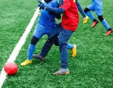 张伟丽遭质,胜利非她实,力所得,天博体育平台,天博体育官方网站,天博体育登录入口,天博体育app下载