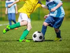 虞书欣,陈奕迅等被,家人风波牵,天博体育平台,天博体育官方网站,天博体育登录入口,天博体育app下载