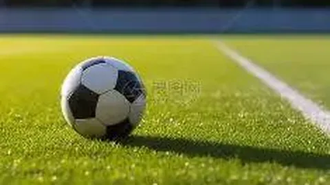 天博体育 产品 091557 w1q