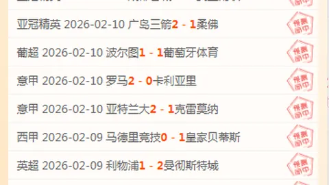 大乐透期号专家质合分析：前区十码推荐深度探讨